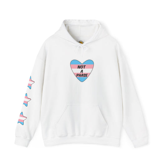 Unisex Heavy Blend Hooded Sweatshirt - "Not A Phase"